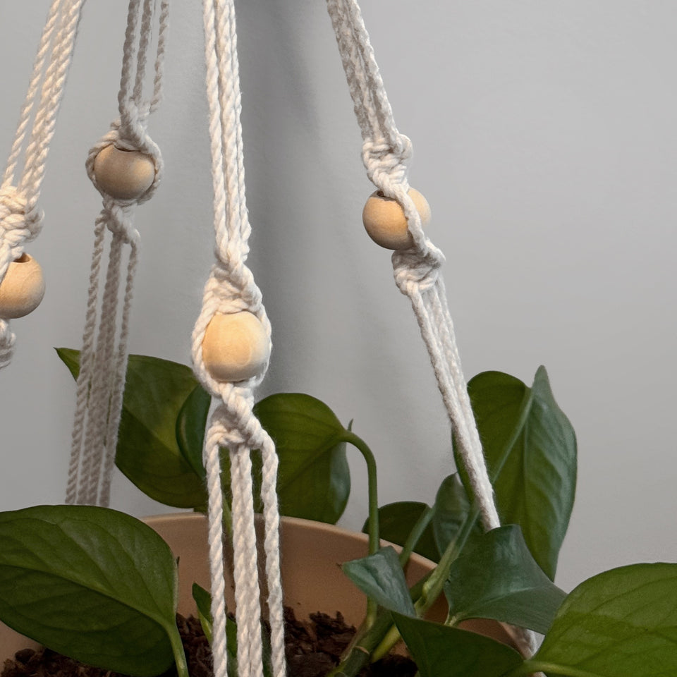 Beginner's Macrame Class —  Macrame Plant Hanger (In Studio)