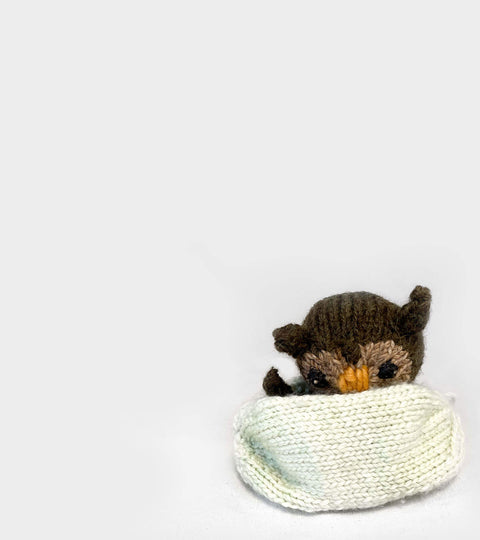 THE RUTH PROJECT - CREATE AN AMIGURUMI TO DONATE
