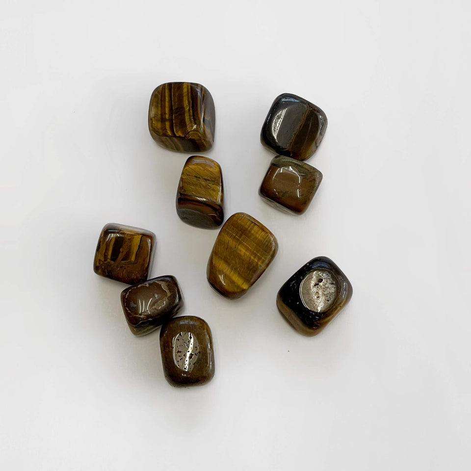 Tiger Eye Tumble Stone | Focus